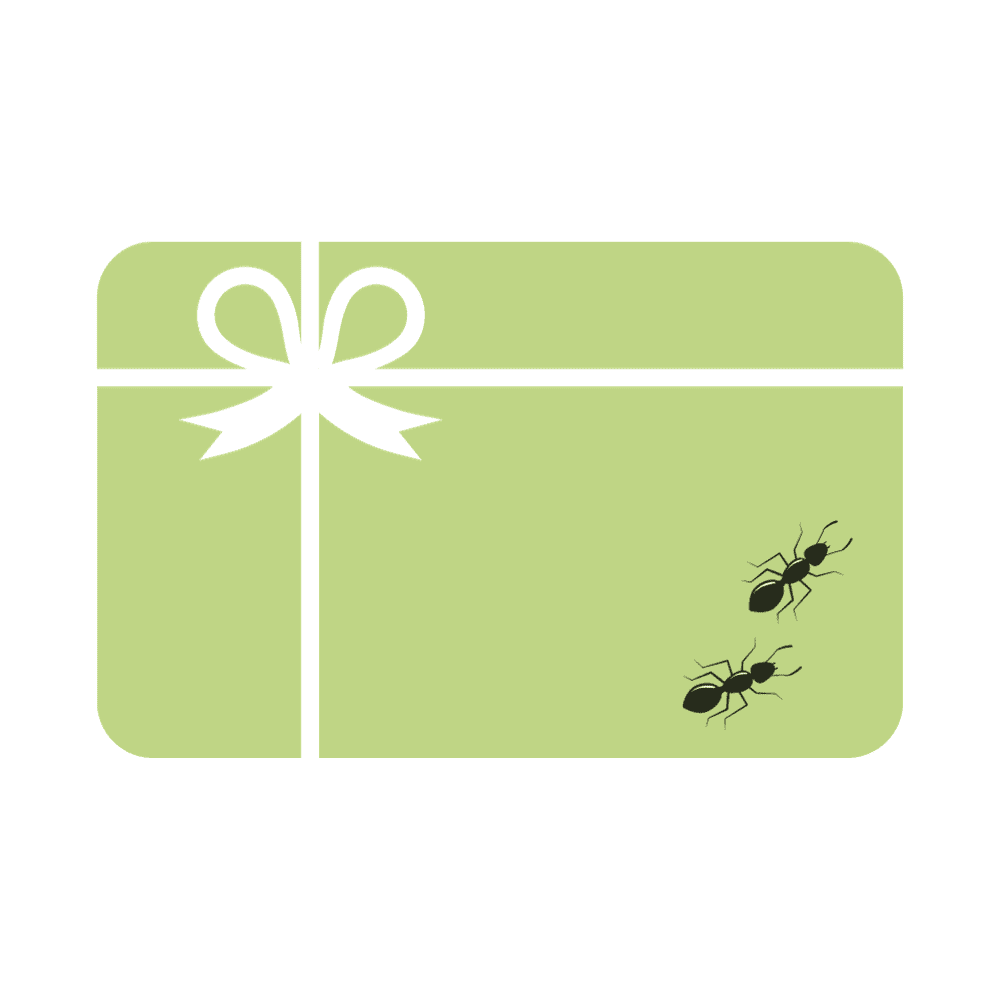 carte cadeau fourmis